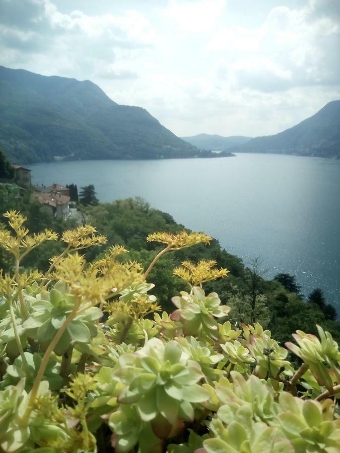 Casa Del Borgo Villa Pognana Lario Buitenkant foto