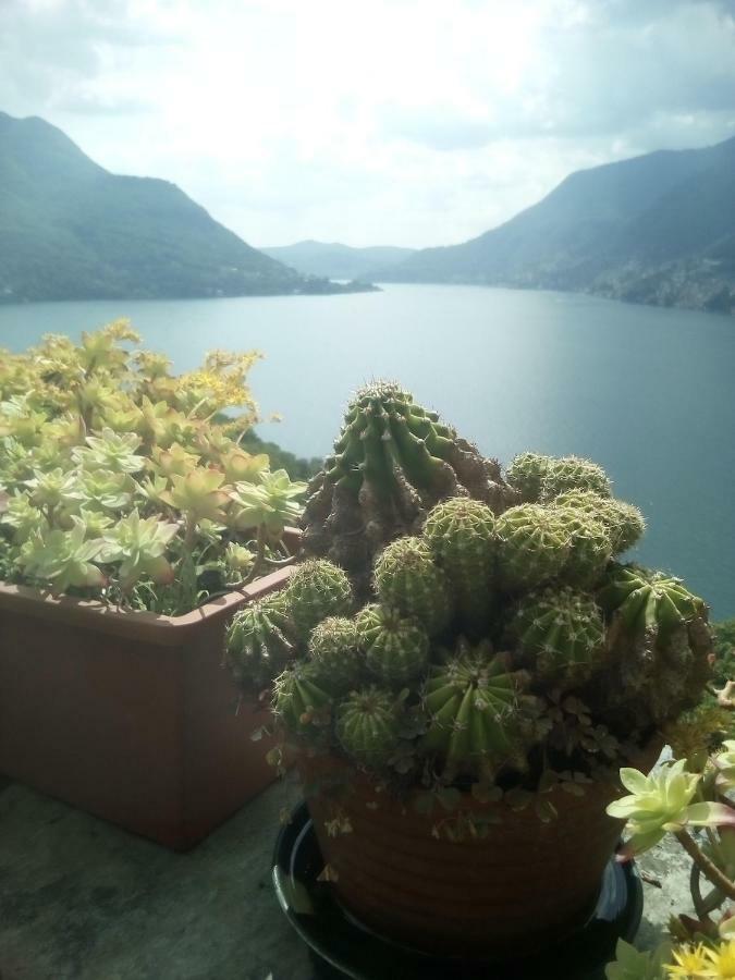 Casa Del Borgo Villa Pognana Lario Buitenkant foto